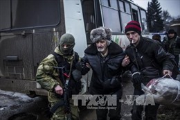 OSCE kêu gọi ngừng bắn để sơ tán dân Đông Ukraine